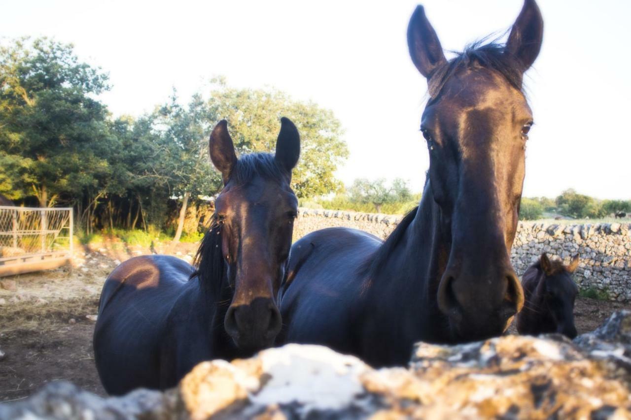 Trulli Sul Vignale In Masseria Santalachicca Martina Franca Eksteriør bilde