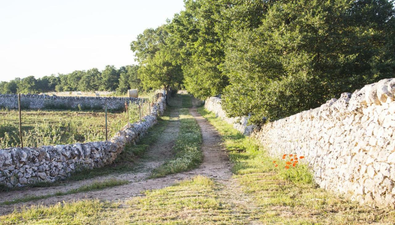 Trulli Sul Vignale In Masseria Santalachicca Martina Franca Eksteriør bilde