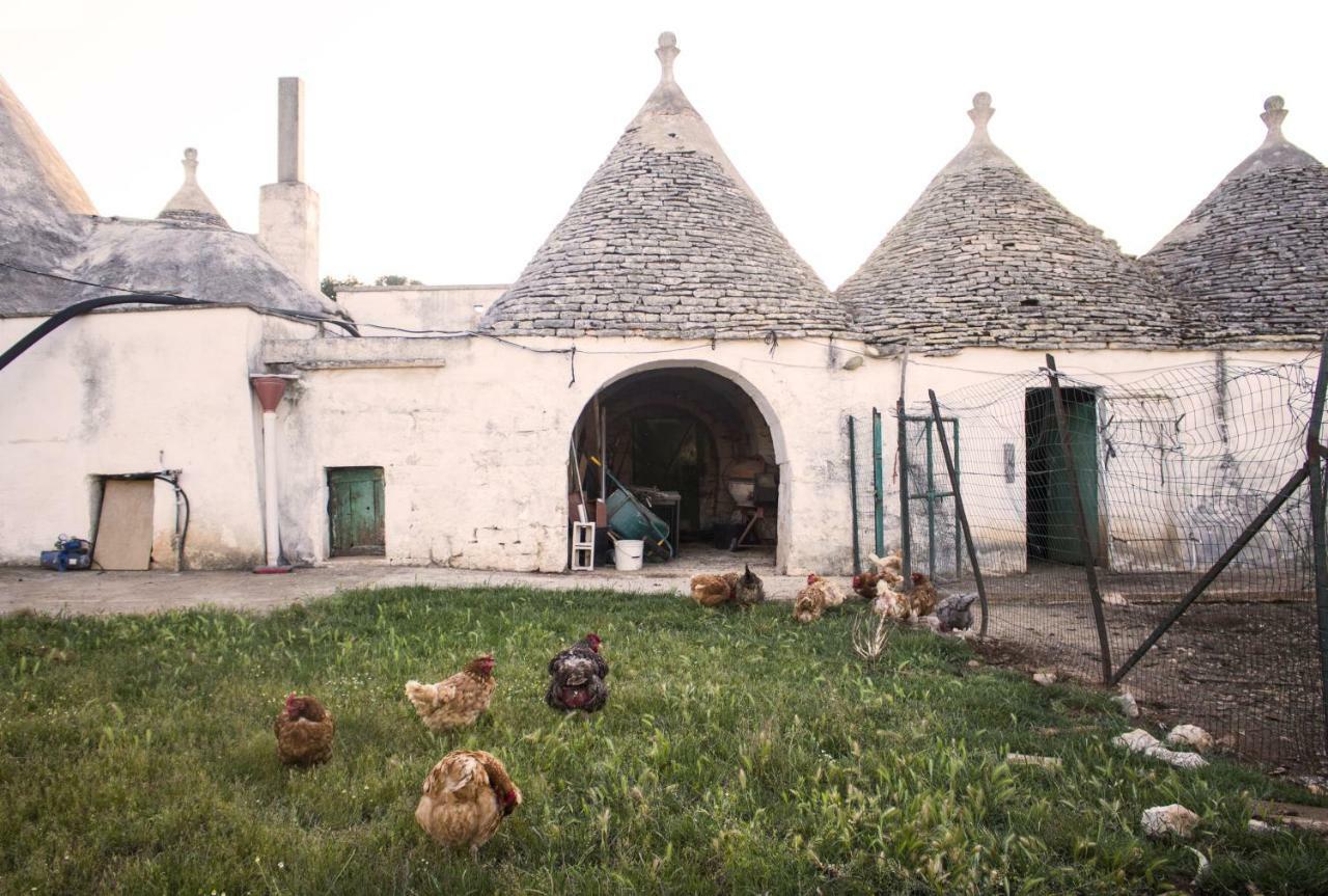 Trulli Sul Vignale In Masseria Santalachicca Martina Franca Eksteriør bilde